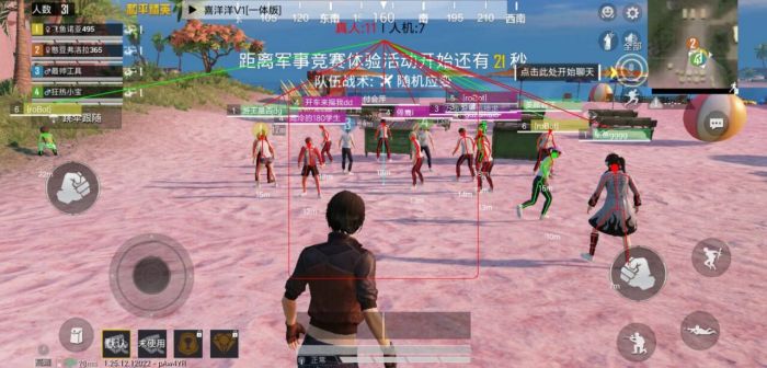 如何在和平精英里使用外挂（如何在和平精英里巡查外挂）